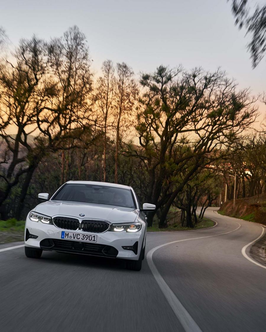 BMW 320d Sport Line (G20) 2019 года  (WW) (фото 249 из 311)
